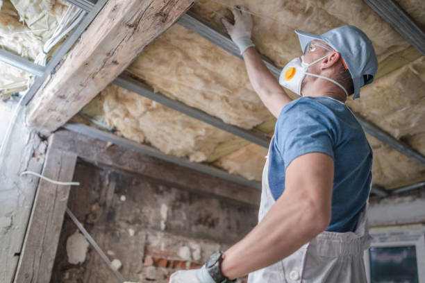 Best Blown-in Insulation in Talahi Island, GA