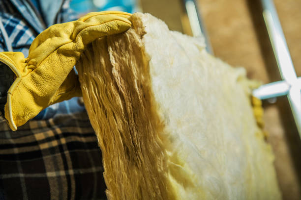 Types of Insulation We Offer in Talahi Island, GA