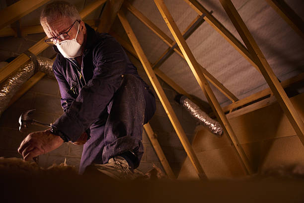 Best Commercial Insulation in Talahi Island, GA
