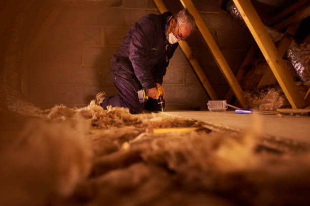 Best Specialized Insulation Services in Talahi Island, GA
